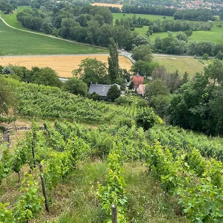 Am Steinmeister Turm *