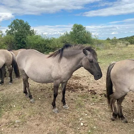 Am Steinmeister Turm Дом отдыха