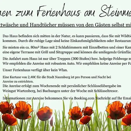 Am Steinmeister Turm *