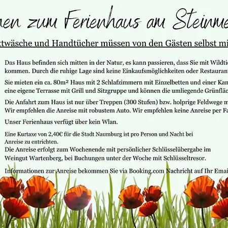 Am Steinmeister Turm *