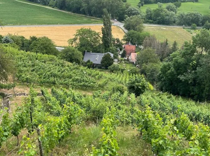 Am Steinmeister Turm *